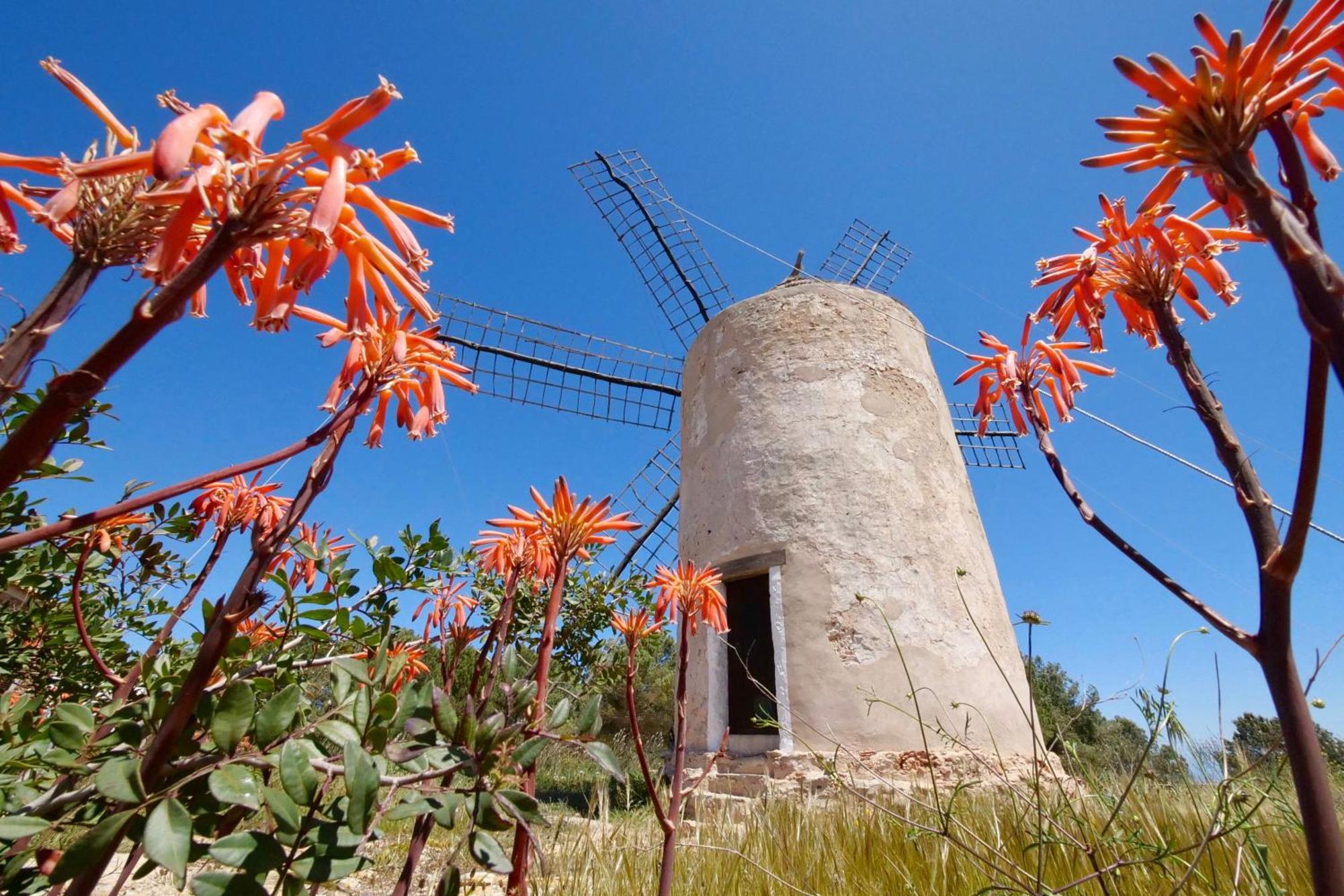 Voga Mari - Astbury Formentera Apartment Playa Migjorn Exterior foto